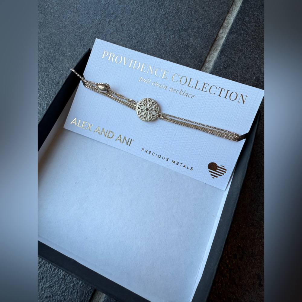 Alex and Ani Silver pull chain  Necklace - NWT